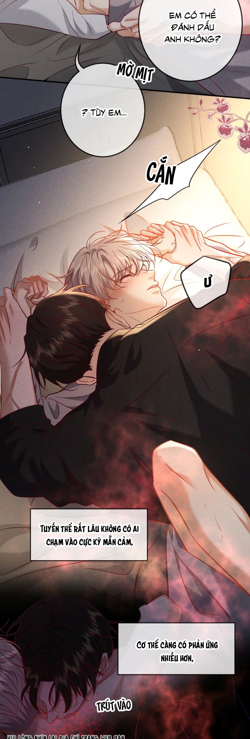 Đêm Tình Yêu Và Sát Ý Chap 65 - Next Chap 66