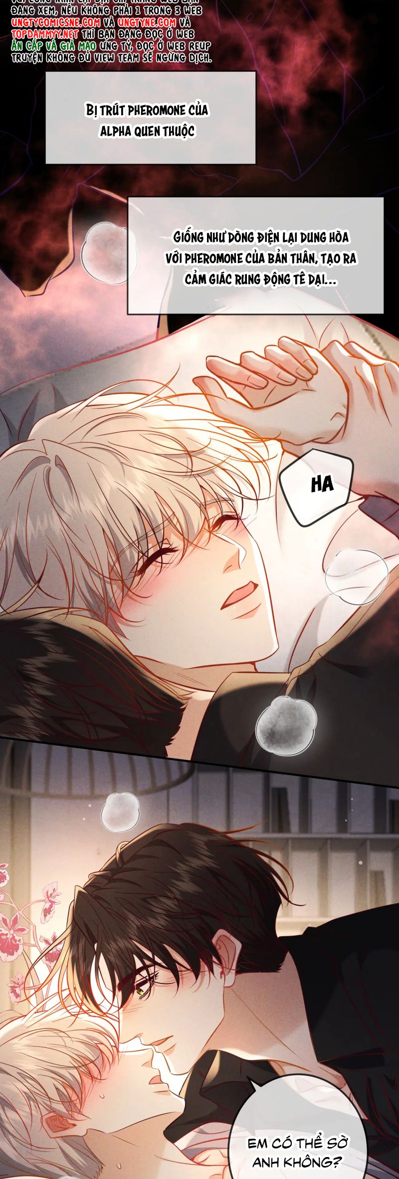 Đêm Tình Yêu Và Sát Ý Chap 65 - Next Chap 66