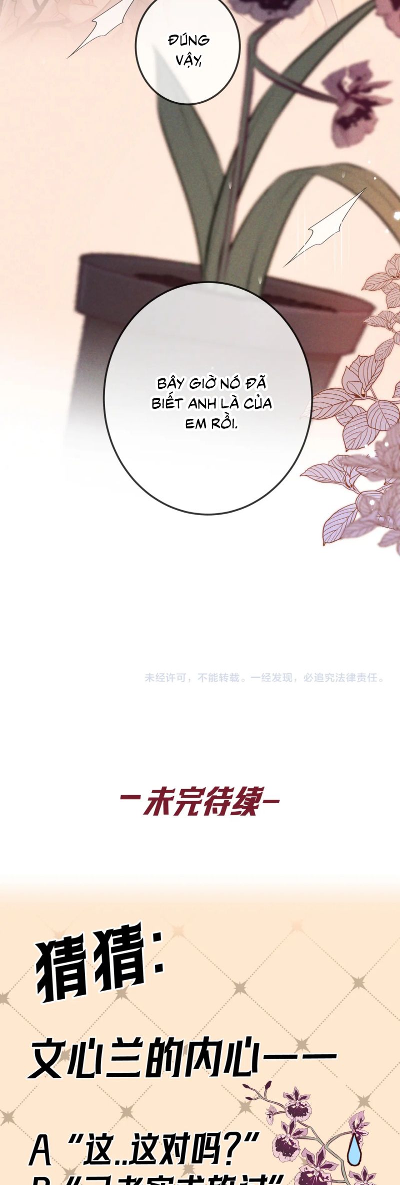 Đêm Tình Yêu Và Sát Ý Chap 65 - Next Chap 66