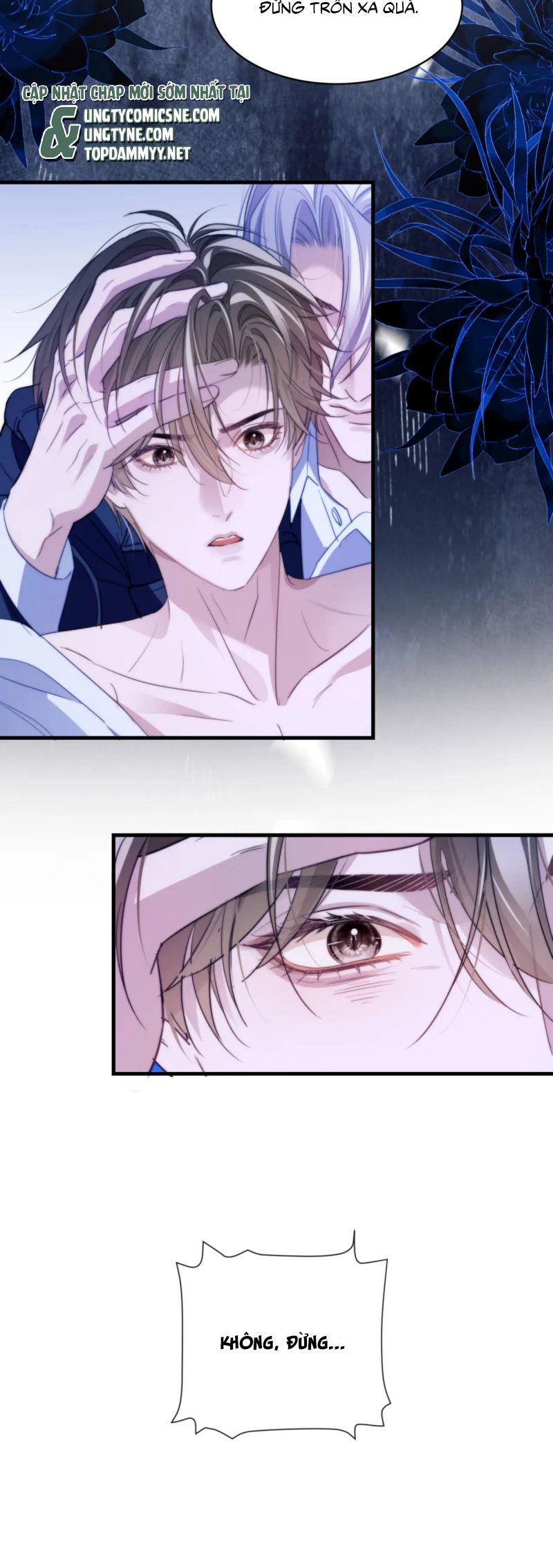 Desharow Nhân Ngư Chap 95 - Next Chap 96
