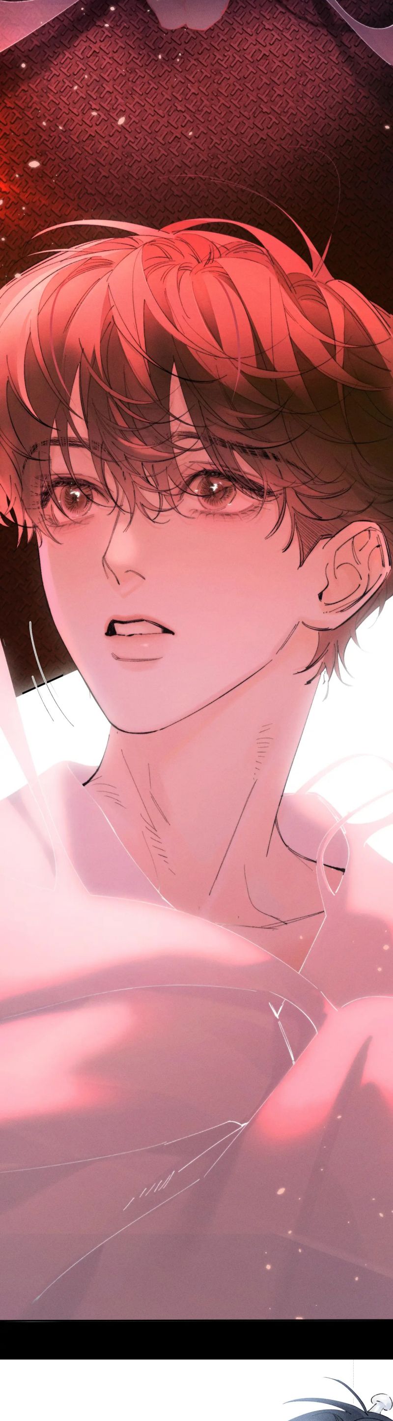 Cây Nấm Nhỏ Chap 66 - Trang 3