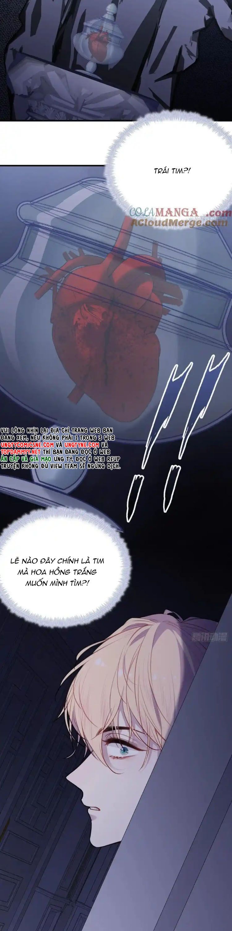 Anh Ấy Chưa Từng Rơi Xuống Chap 123 - Trang 3