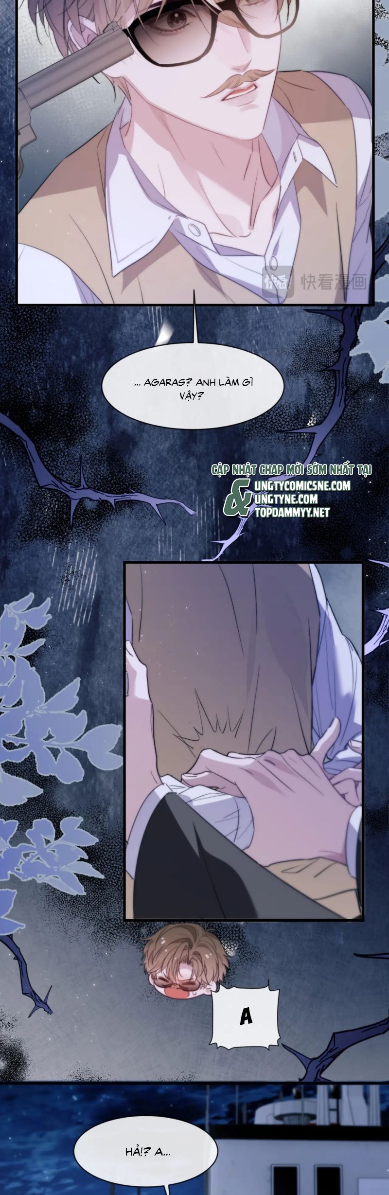Desharow Nhân Ngư Chap 96 - Trang 3
