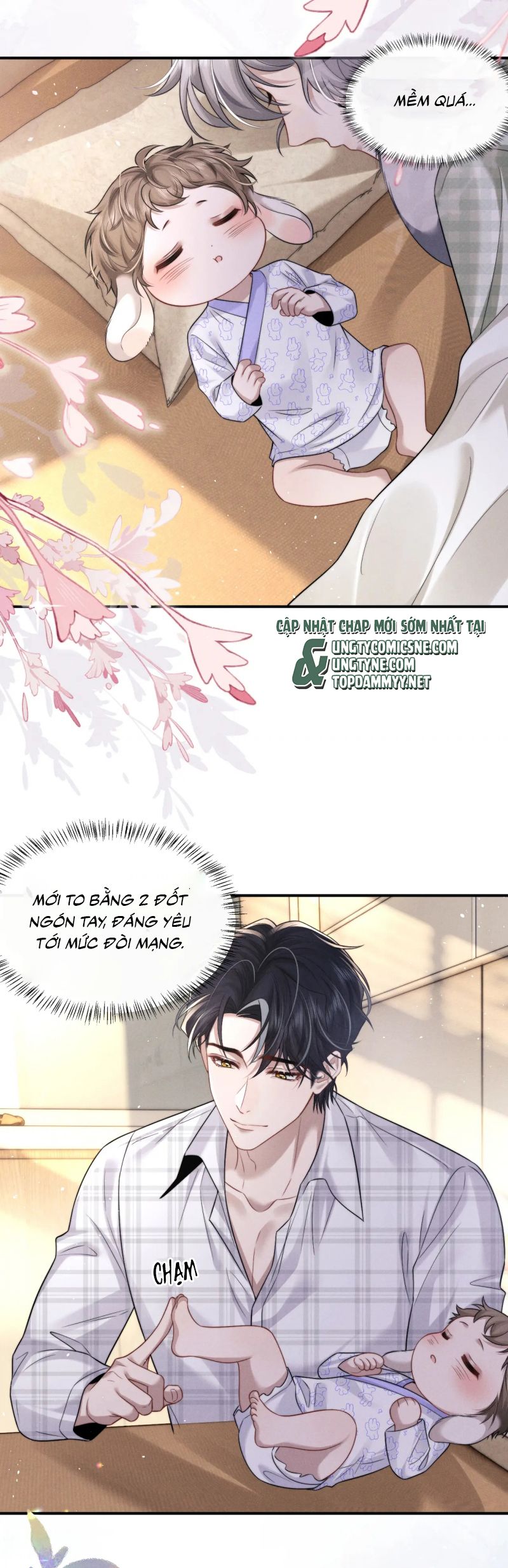 Chấp Sự Thỏ Cụp Tai Chap 162 - Trang 2