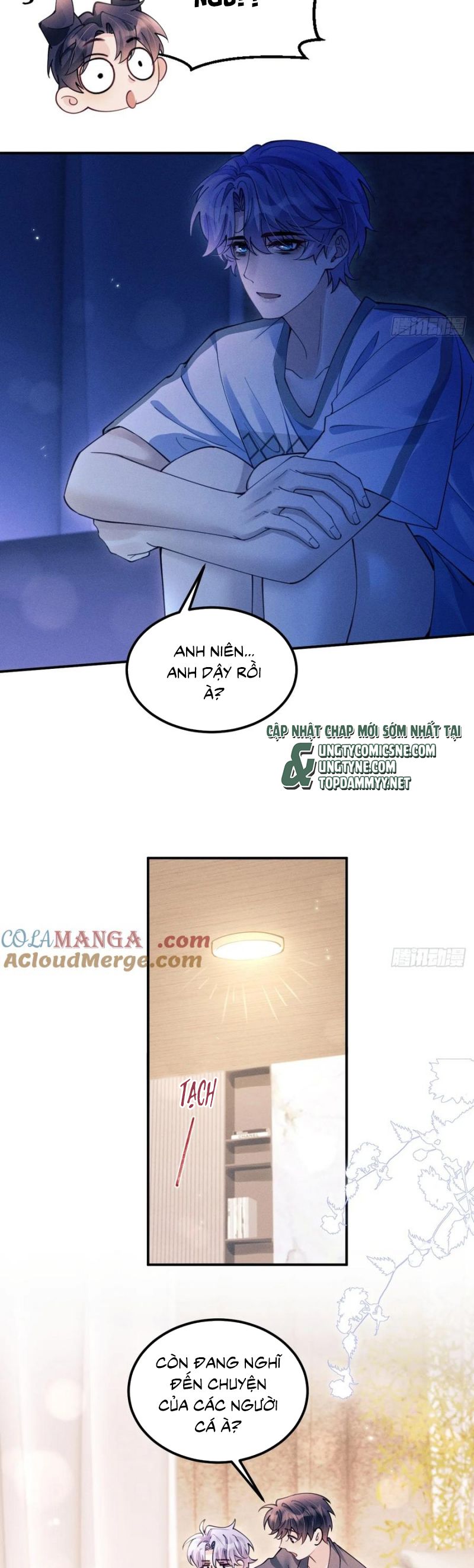 Tôi Hoài Nghi Ảnh Đế Đang Theo Đuổi Tôi Chap 191 - Next 