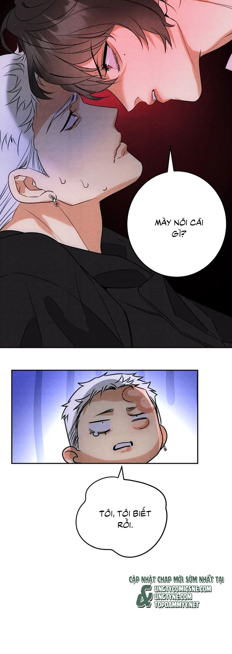 Xuyên Thành Con Ngỗng Vàng Của Đại Lão Alpha Chap 7 - Trang 2