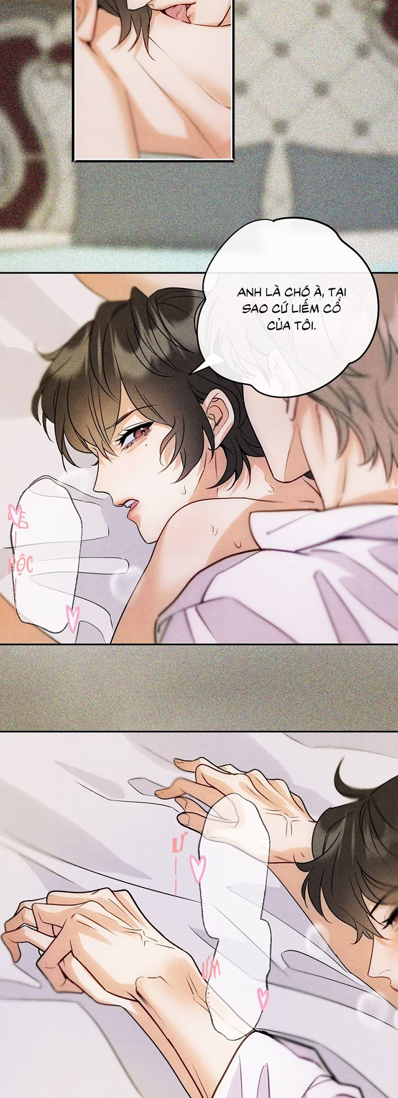 Xuyên Thành Con Ngỗng Vàng Của Đại Lão Alpha Chap 8 - Trang 2