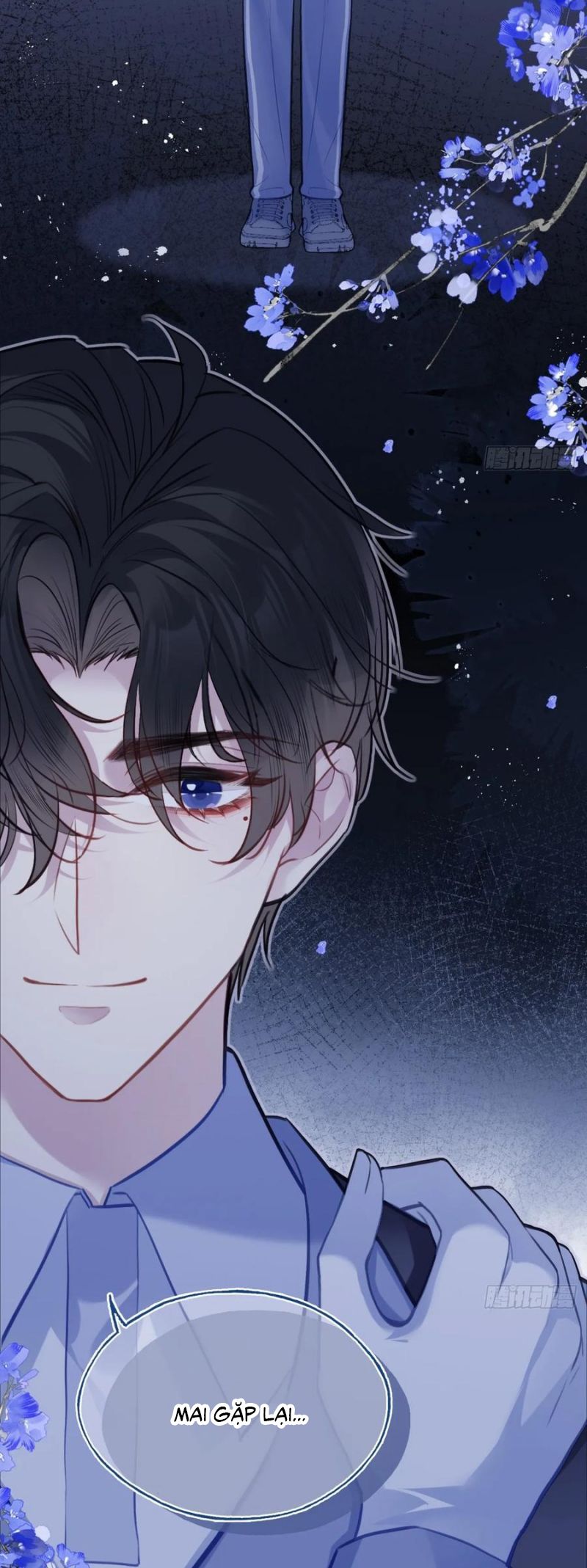 Anh Ấy Chưa Từng Rơi Xuống Chap 125 - Trang 3