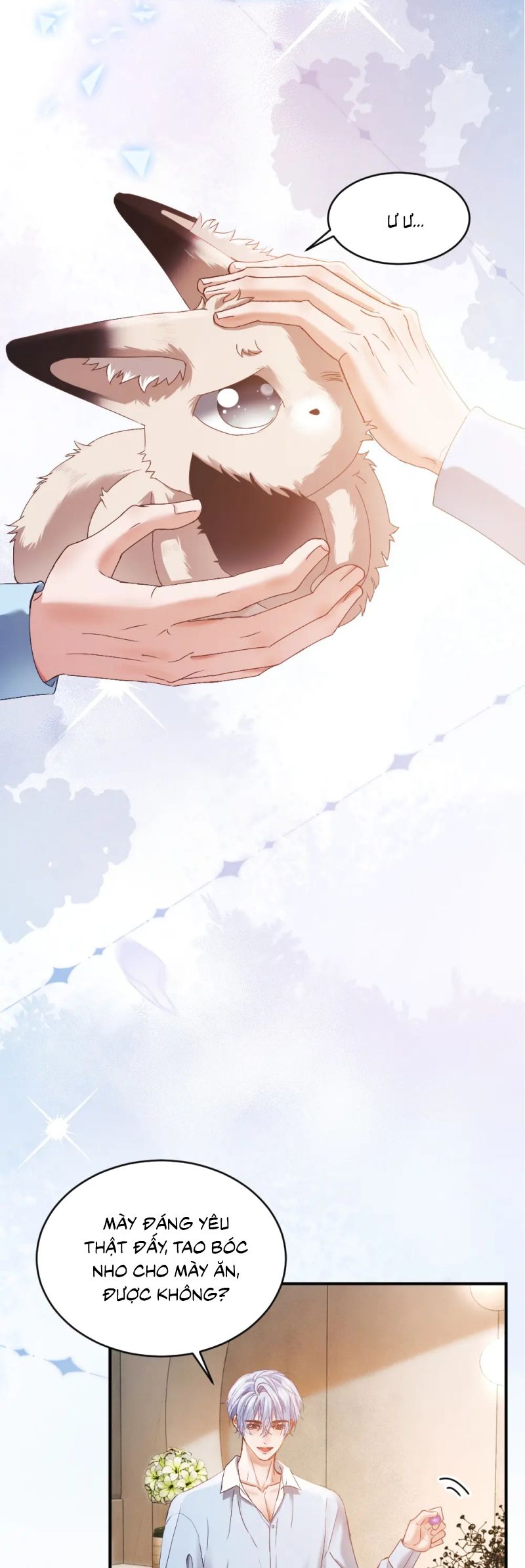 Tiểu Thiếu Gia Dựa Vào Mỹ Mạo Hoành Hành Toàn Hệ Thống Chap 82 - Trang 3
