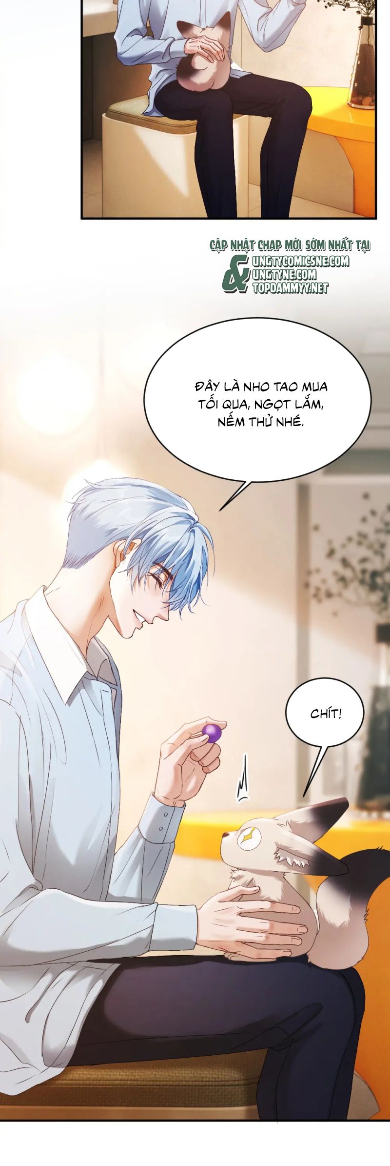Tiểu Thiếu Gia Dựa Vào Mỹ Mạo Hoành Hành Toàn Hệ Thống Chap 82 - Trang 3