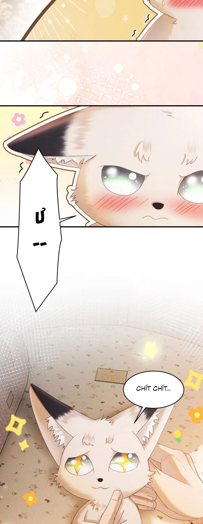 Tiểu Thiếu Gia Dựa Vào Mỹ Mạo Hoành Hành Toàn Hệ Thống Chap 82 - Trang 3