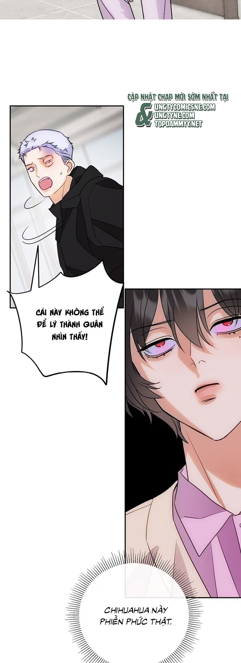 Xuyên Thành Con Ngỗng Vàng Của Đại Lão Alpha Chap 9 - Next Chap 10