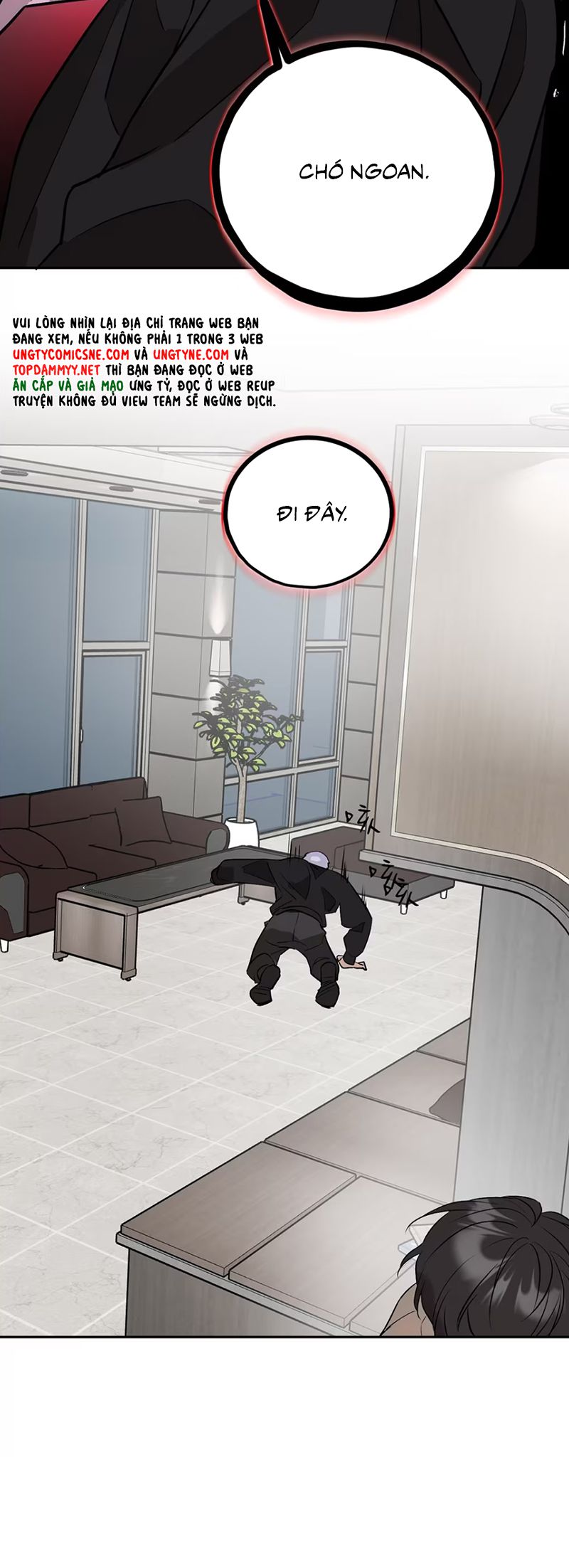 Xuyên Thành Con Ngỗng Vàng Của Đại Lão Alpha Chap 9 - Next Chap 10