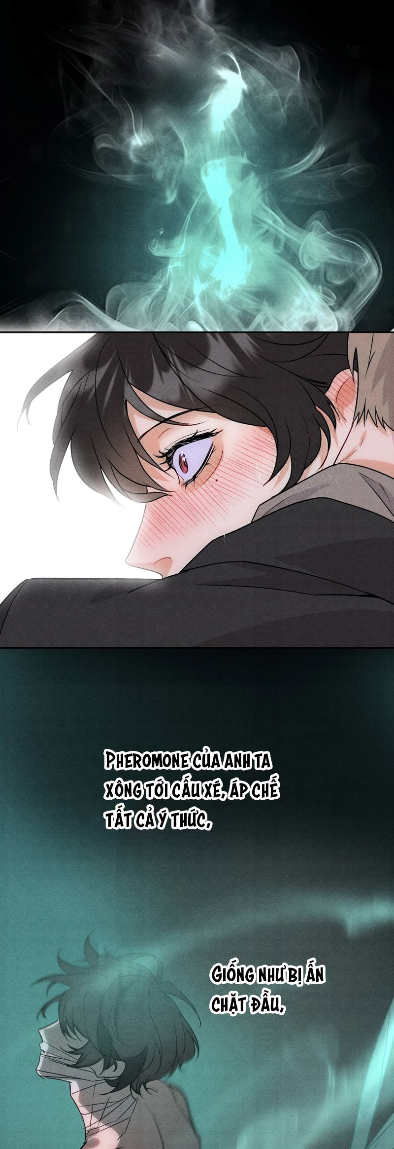 Xuyên Thành Con Ngỗng Vàng Của Đại Lão Alpha Chap 10 - Next 